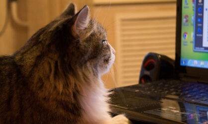 5 лучших игровых ноутбуков. Детальный обзор